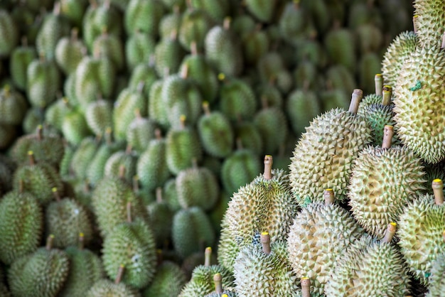 Durian, roi des fruits