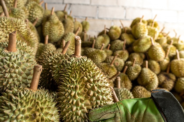 Le durian saisonnier est vendu à des commerçants pour être exporté en Chine.