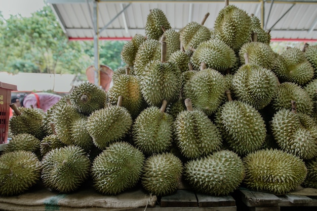 Durian en vente