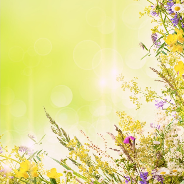 easter background Floral