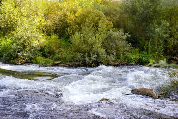 Photo eau claire froide et orageuse d'une rivière de montagne avec une côte verte en été