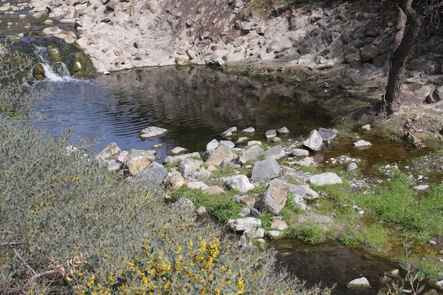 L'eau coule dans un ruisseau de montagne