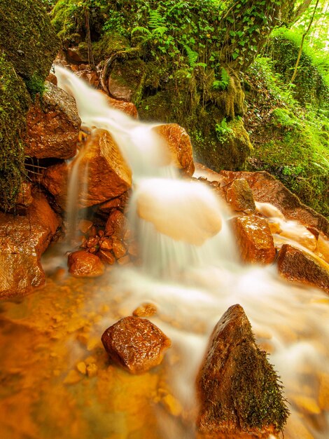 L'eau coule à travers les roches dans les sédiments ferriques forestiers boue