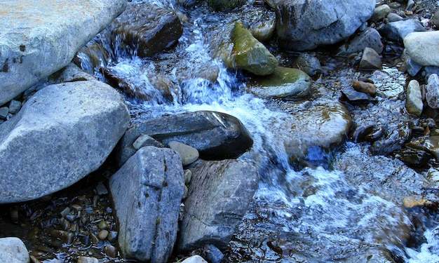 Eau courante d'une petite rivière de montagne parmi les pierres moussues