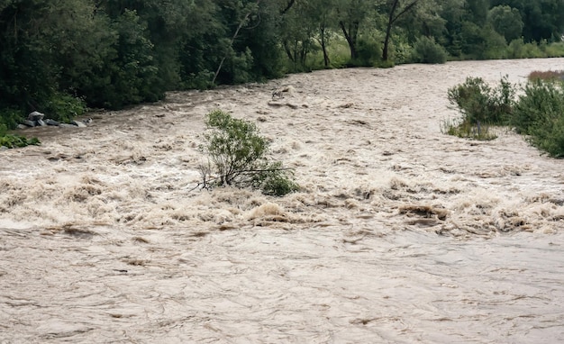 L'eau de crue sale coule rapidement dans la rivière, les arbres coulent sur un courant fort