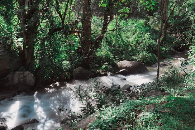 Eau Douce Du Ruisseau Dans Le Parc Naturel, Belle Cascade Dans La Forêt Tropicale