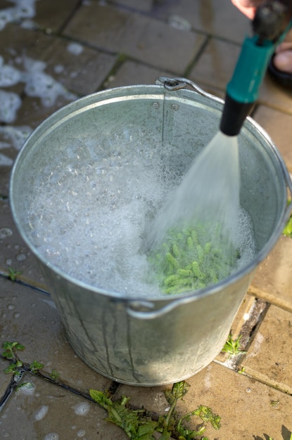 L'eau du tuyau se déverse dans le seau