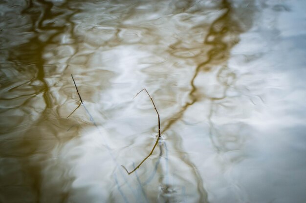 L'eau est sale et le ciel s'y reflète.