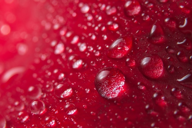 L&#39;eau de fond macro tombe sur les pétales de fleurs rouges.