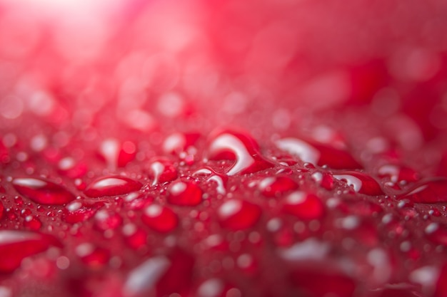 L&#39;eau de fond macro tombe sur les pétales de fleurs rouges.