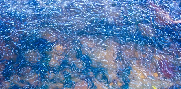 L'eau gelée dans un lac un lac couvert de glace transparente