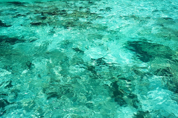 Eau de mer bleue claire, vue du bateau