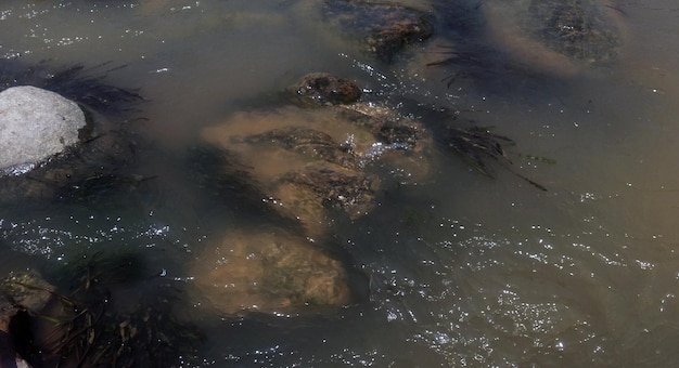 Eau passant sur les rochers