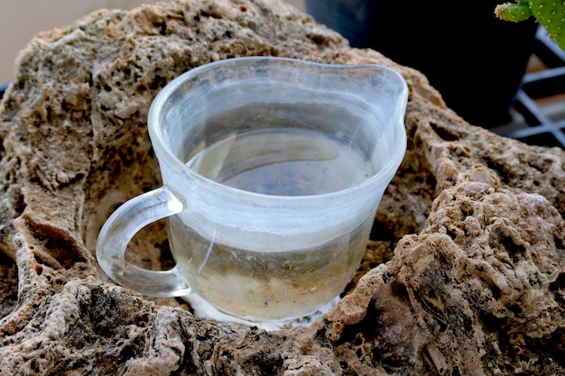 Photo l'eau propre est dans le verre qui est un terrain fertile pour les moustiques et propage la maladie