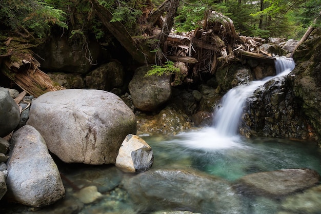 Eau qui coule dans le canyon autour des rochers Arrière-plan du paysage naturel canadien