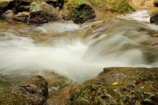 L'eau qui coule rapidement dans la rivière de montagne