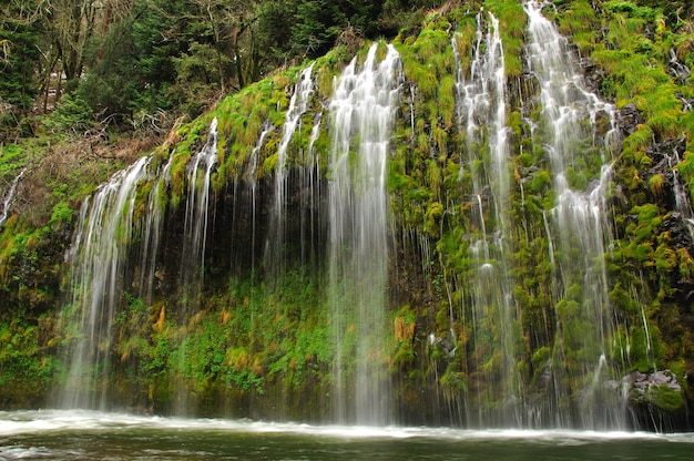 L'eau qui tombe des rochers dans la forêt