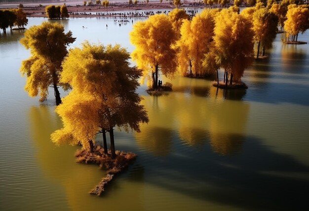 L'eau et les reflets hypnotisants