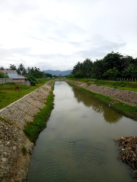 l'eau de la rivière commence à devenir peu profonde en raison de la sécheresse qui a frappé