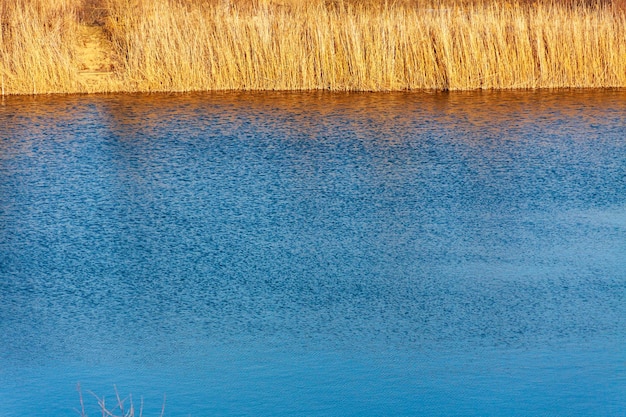 L'eau des roseaux du lac