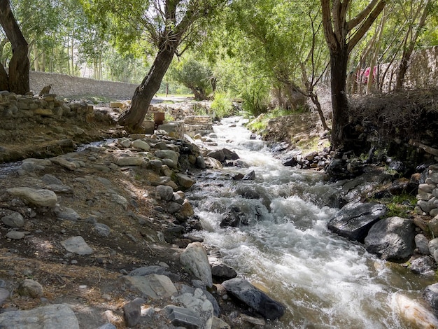 L'eau d'un ruisseau coule très vite