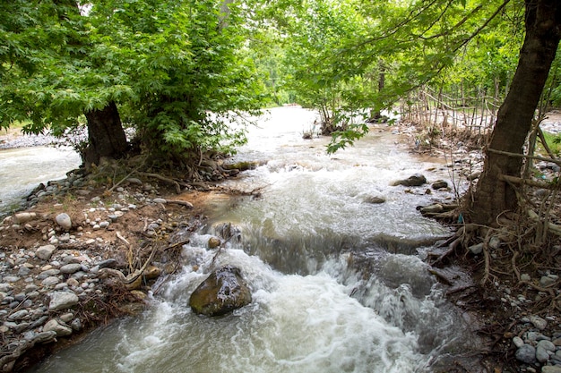 L'eau s'écoule le long de la pente