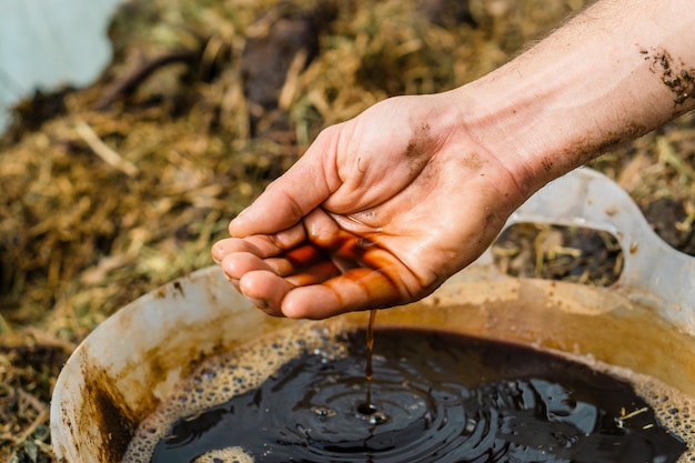 De l'eau sale dans un seau d'eau et la main d'une personne.