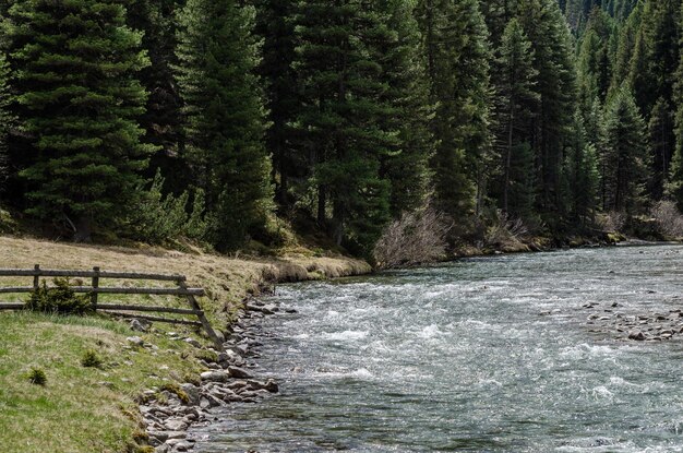 Eau sauvage dans la nature