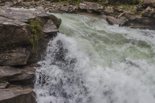 Eau sauvage dans la nature