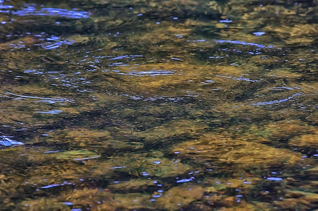 eau texture montagne rivière débit couler aqua motion