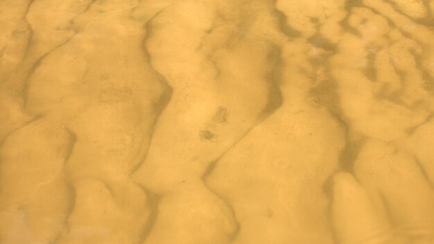 Eau transparente du lac avec fond sablonneux Dunes de sable au fond de la rivière