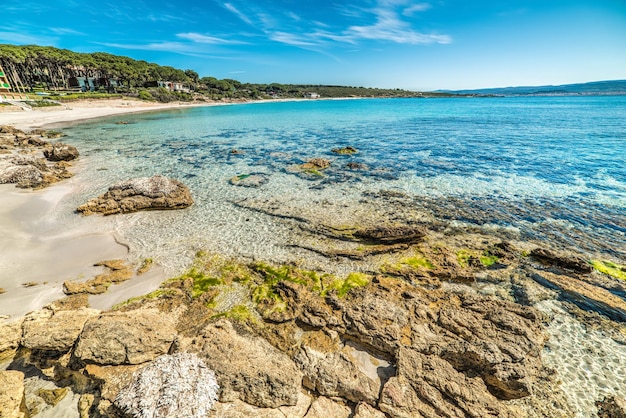 Eau transparente sur la plage de Le Bombarde Sardaigne