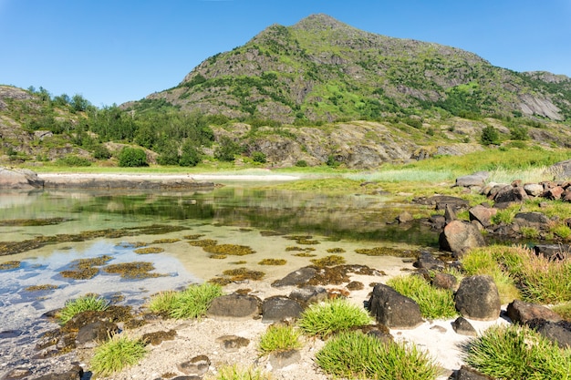 L'eau turquoise de la baie, les pierres et l'herbe verte en été, l'île d'Arsteinen, archipel des Lofoten, Norvège