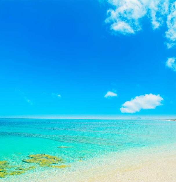 Eau turquoise sur la côte de Stintino Sardaigne