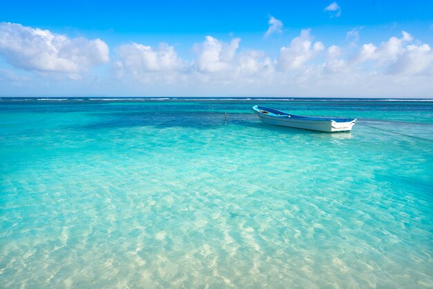 Eau turquoise de la plage tropicale des Caraïbes