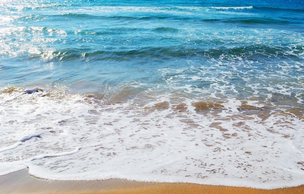 Eau vive au bord de la mer en Sardaigne Italie