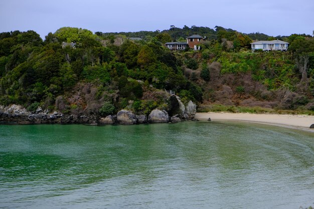 Photo les eaux émeraude de l'île stewart