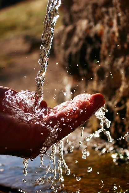 Eaux fraîches de montagne Boire de l'eau de source pure