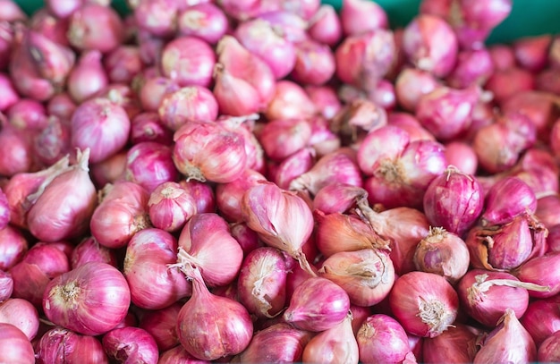 Échalotes réunies en groupe dans un panier panier au marché Échalotes de fond d'oignons rouges frais