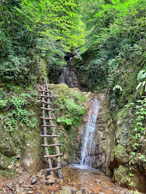 Photo une échelle mène à une cascade dans la forêt.