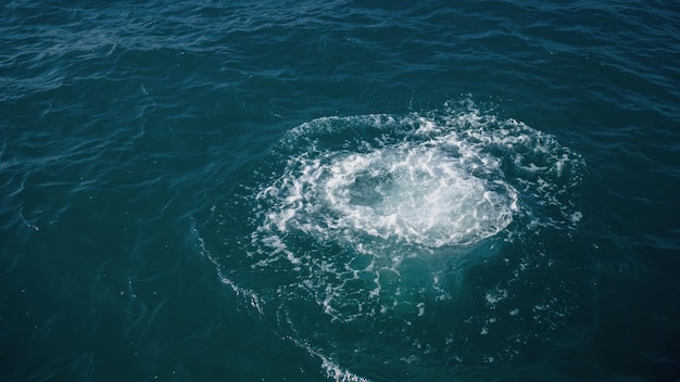 Éclaboussure D'eau Dans L'océan