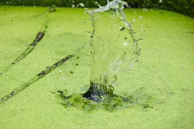 Des éclaboussures d'eau dans l'eau verte