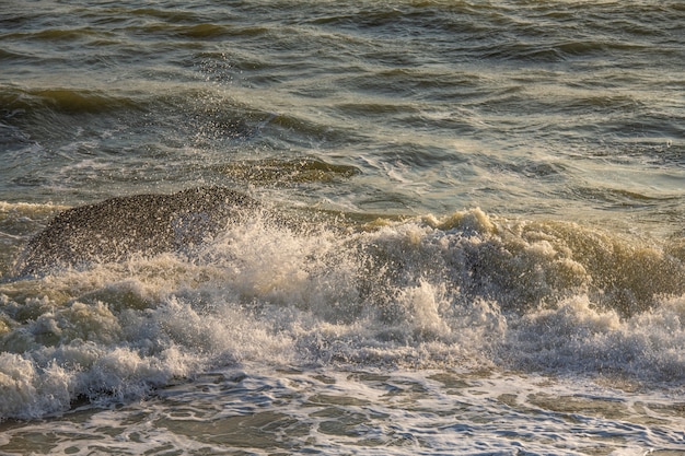 Photo Éclaboussures de vague sur la mer le matin