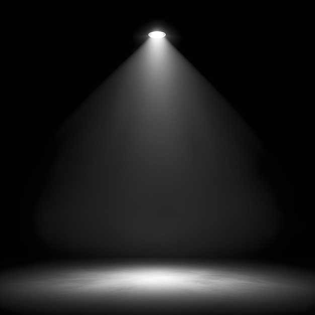 L'éclairage sur le fond de papier peint noir du studio