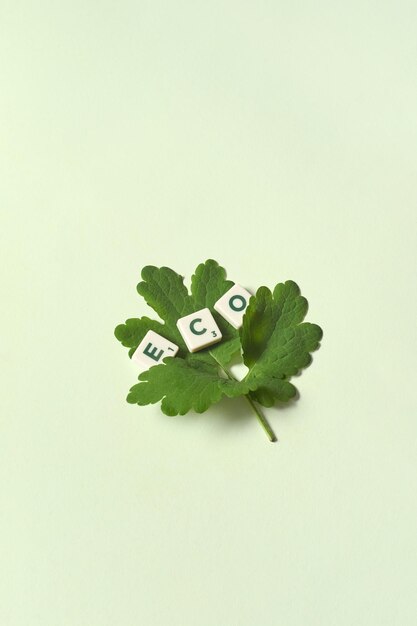 Eco formé de tuiles de scrabble avec feuille d'arbre