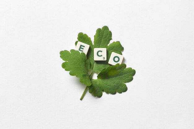 Eco formé de tuiles de scrabble avec feuille d'arbre