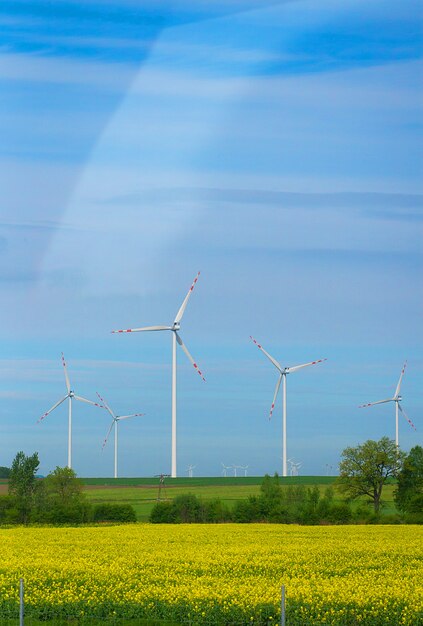 Eco power, éoliennes