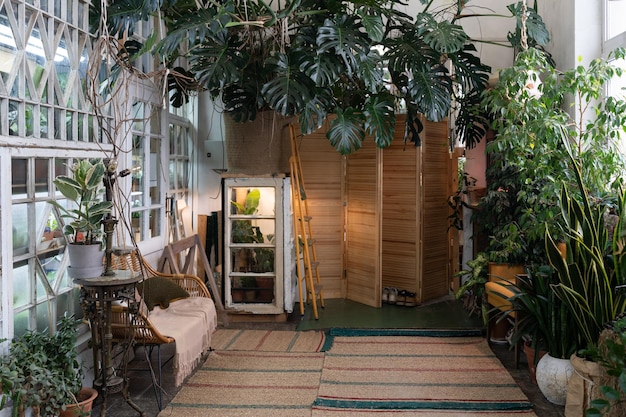 Ecohome confortable avec serre intérieure design d'intérieur respectueux de l'environnement superbe salle de jungle urbaine