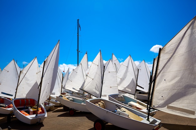 Photo École de voiliers avec des textures de voile dans le ciel bleu