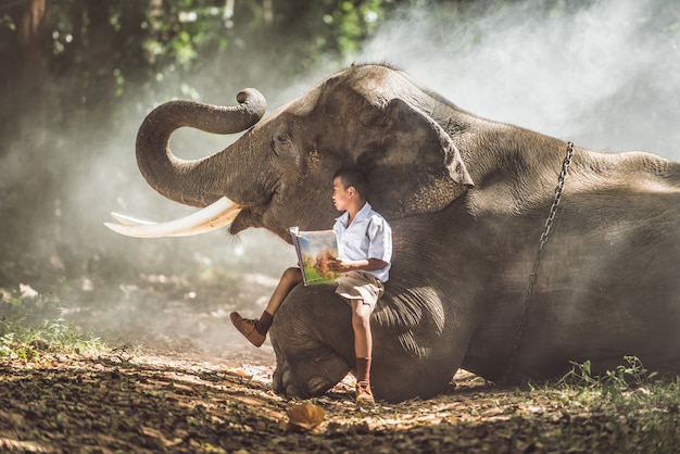 Écolier étudiant Dans La Jungle Avec Son Ami éléphant